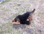 Meeting Lucy, Digging Gophers, Car Ride