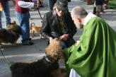 Blessing of the Animals, Pumpkins and Hanging Out