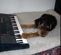 Tinkling on the ivories
