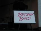 Brown Bird